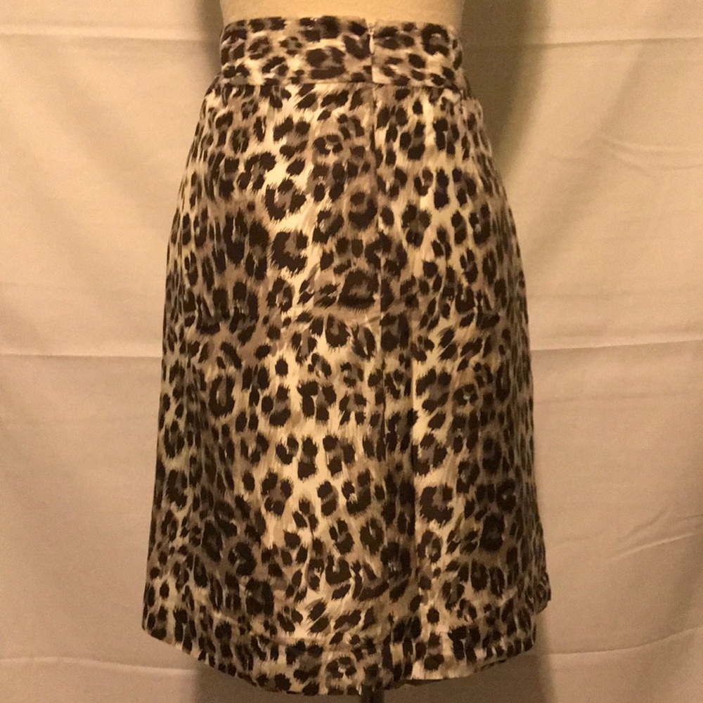 Banana Republic Skirt